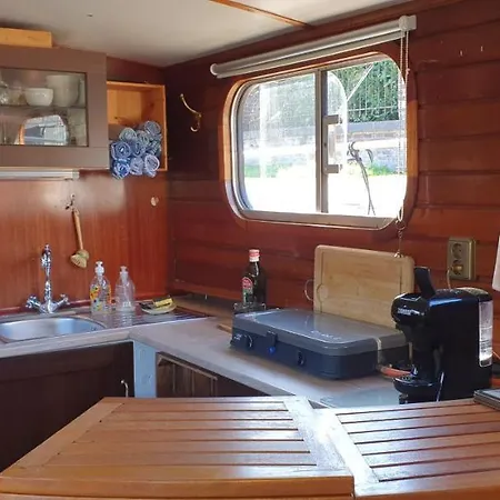 Peniche Sir Lancelot *